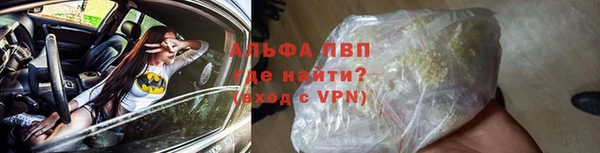 сатива Майский