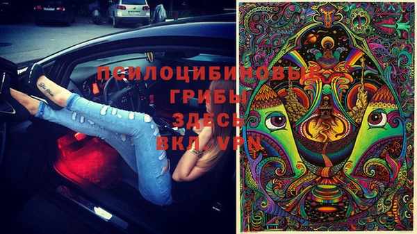 сатива Майский