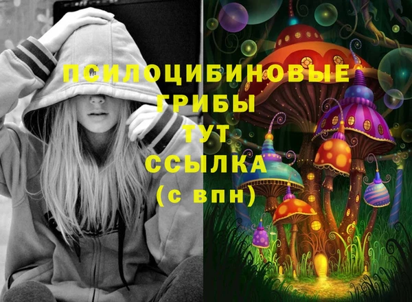 сатива Майский