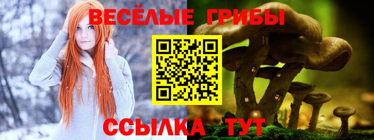 Галлюциногенные грибы ЛСД Донецк