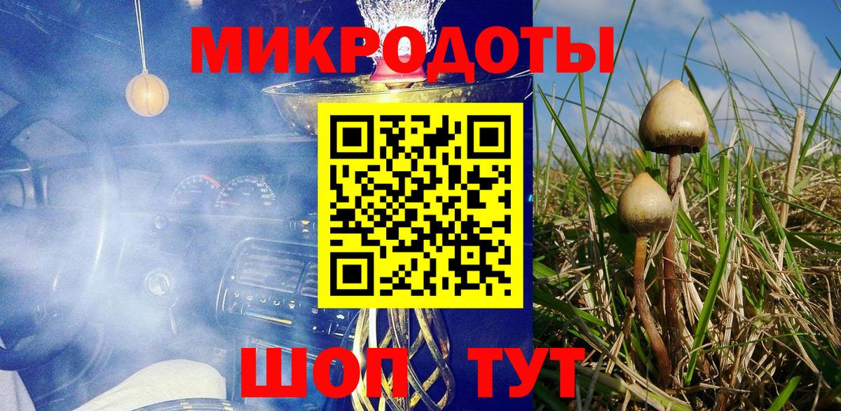 Донецк  Псилоцибиновые грибы Psilocybine cubensis  продажа наркотиков  Вход с VPN  Галлюциногенные грибы прущие грибы 